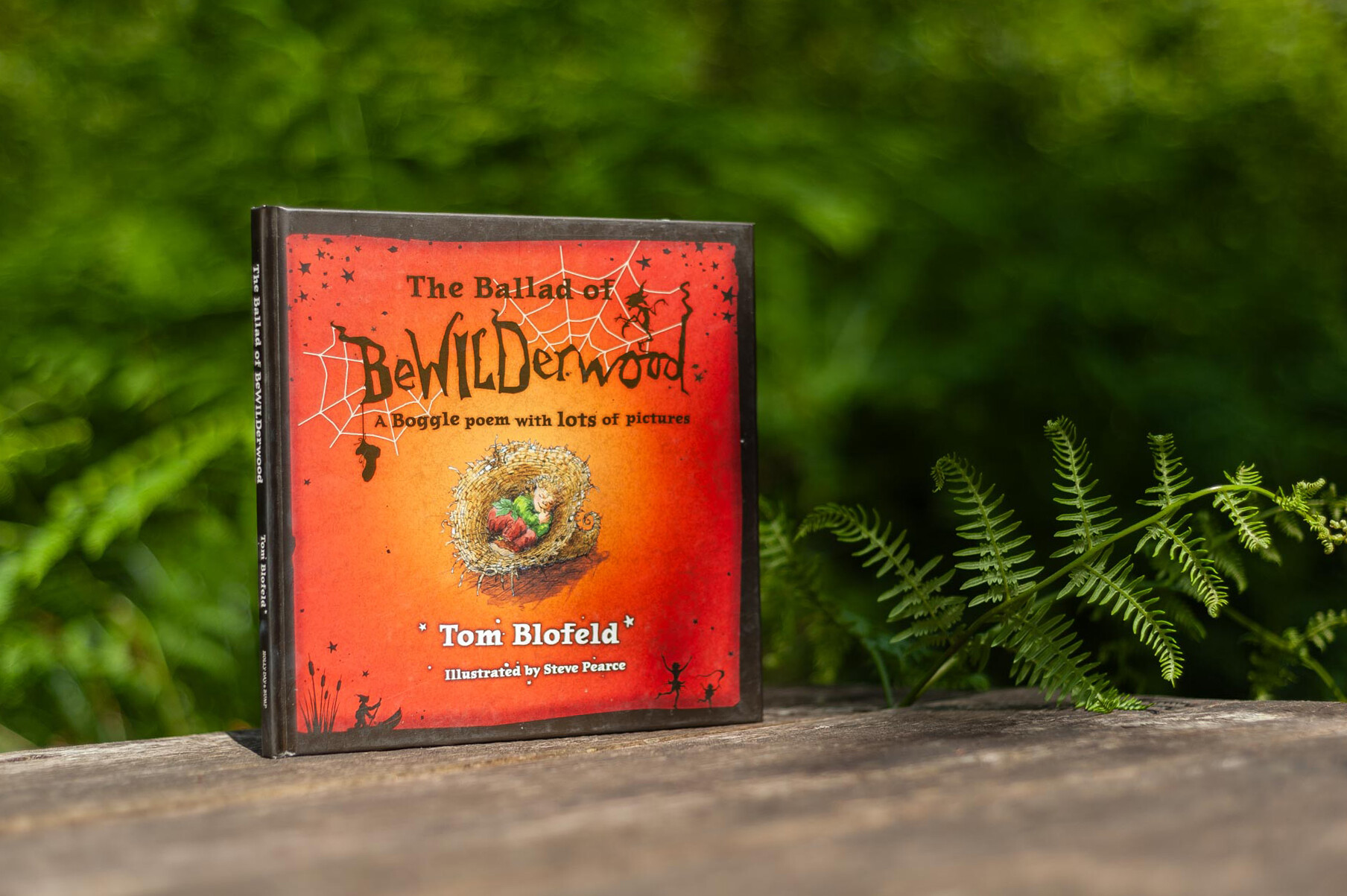 The Ballad of BeWILDerwood the book