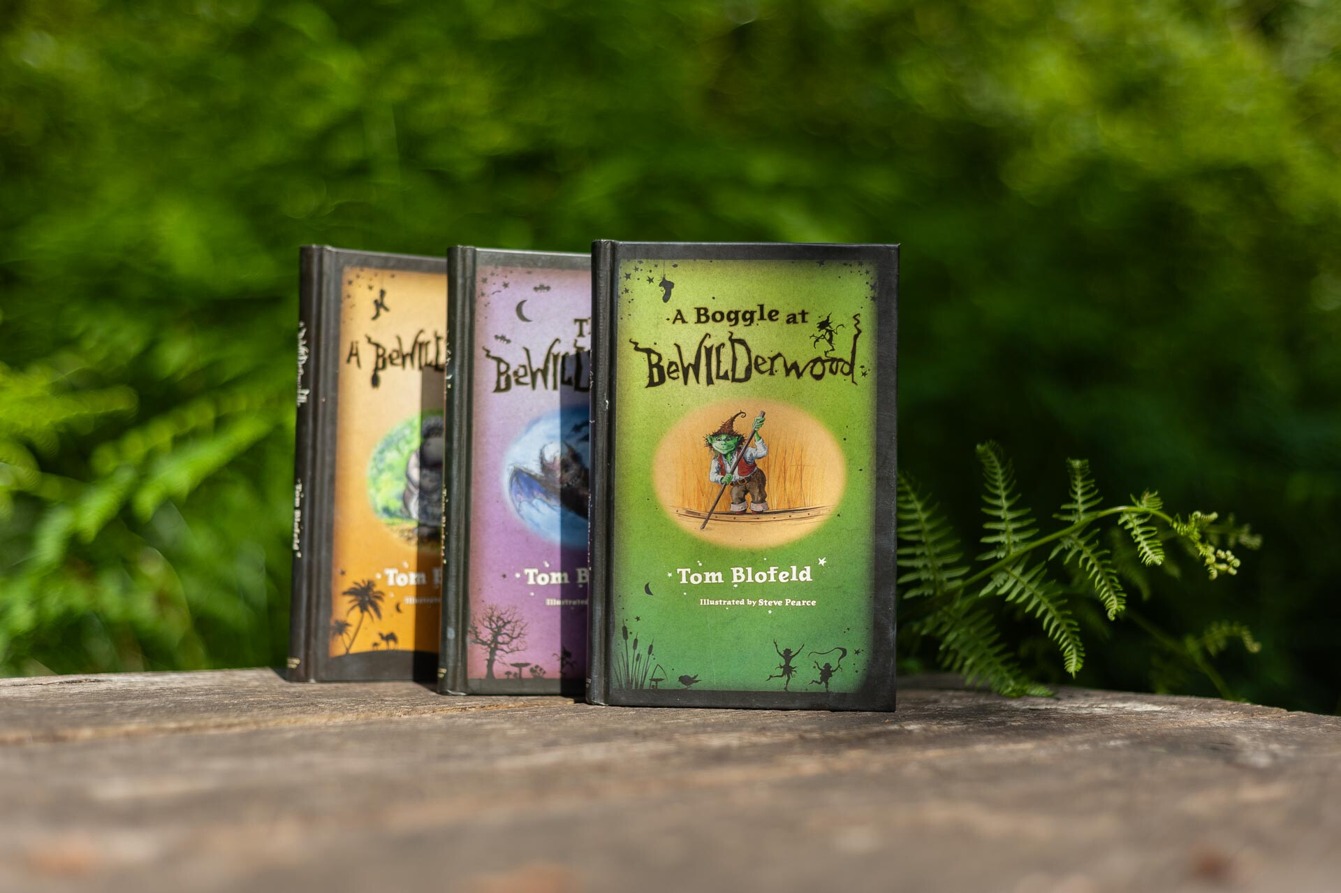 The BeWILDerwood books by Tom Blofeld