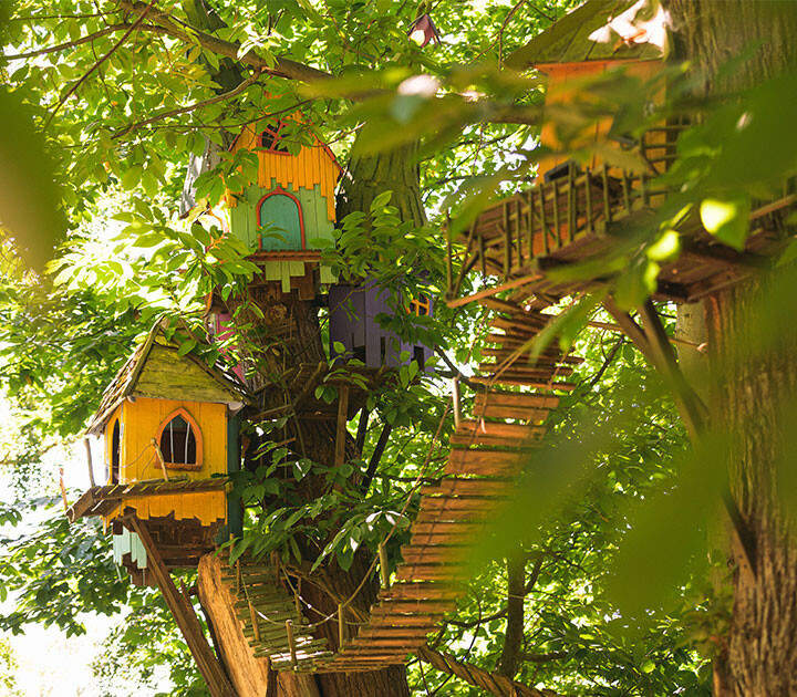 Twiggle houses at BeWILDerwood
